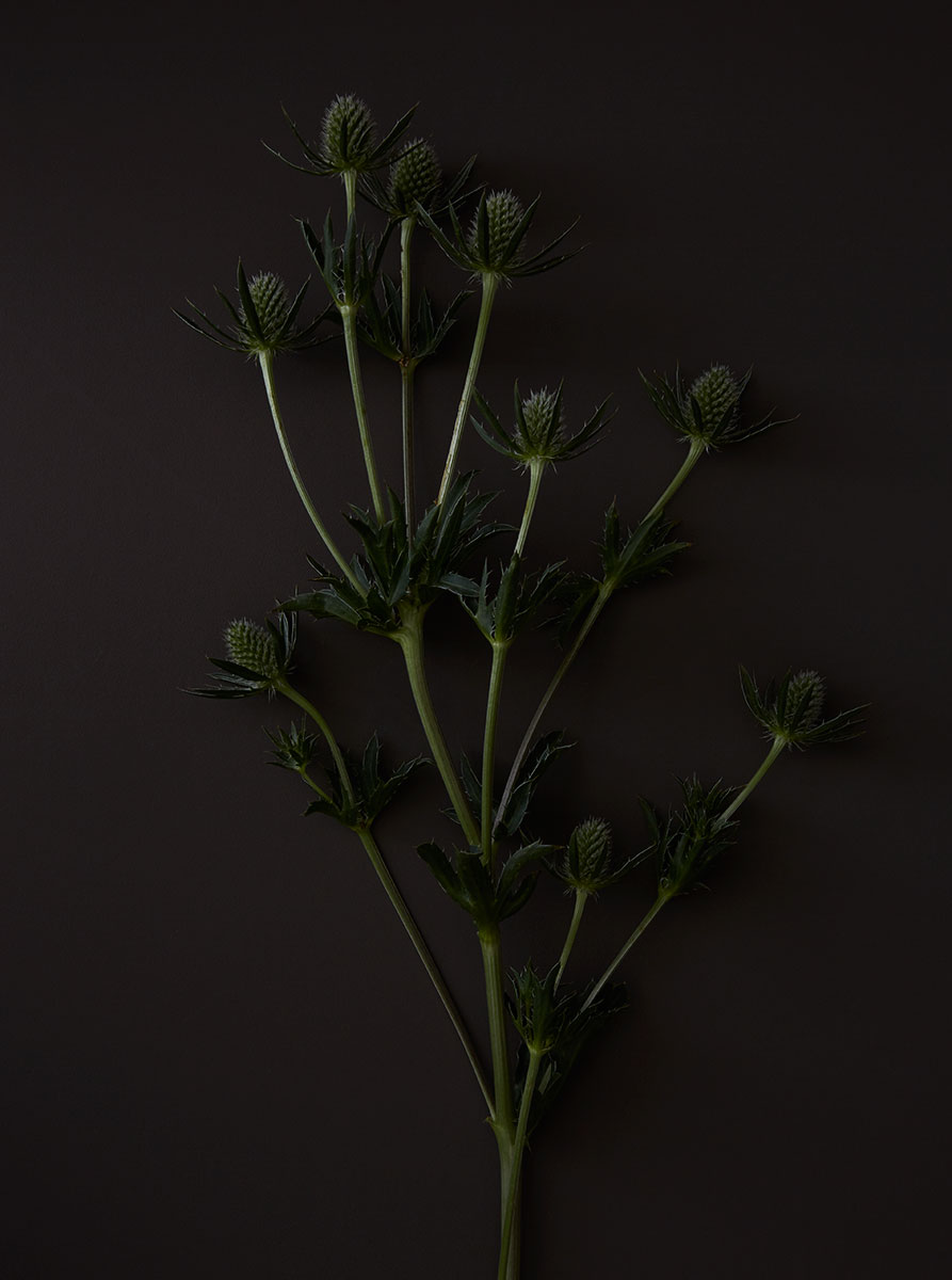 012917_flowers_03a