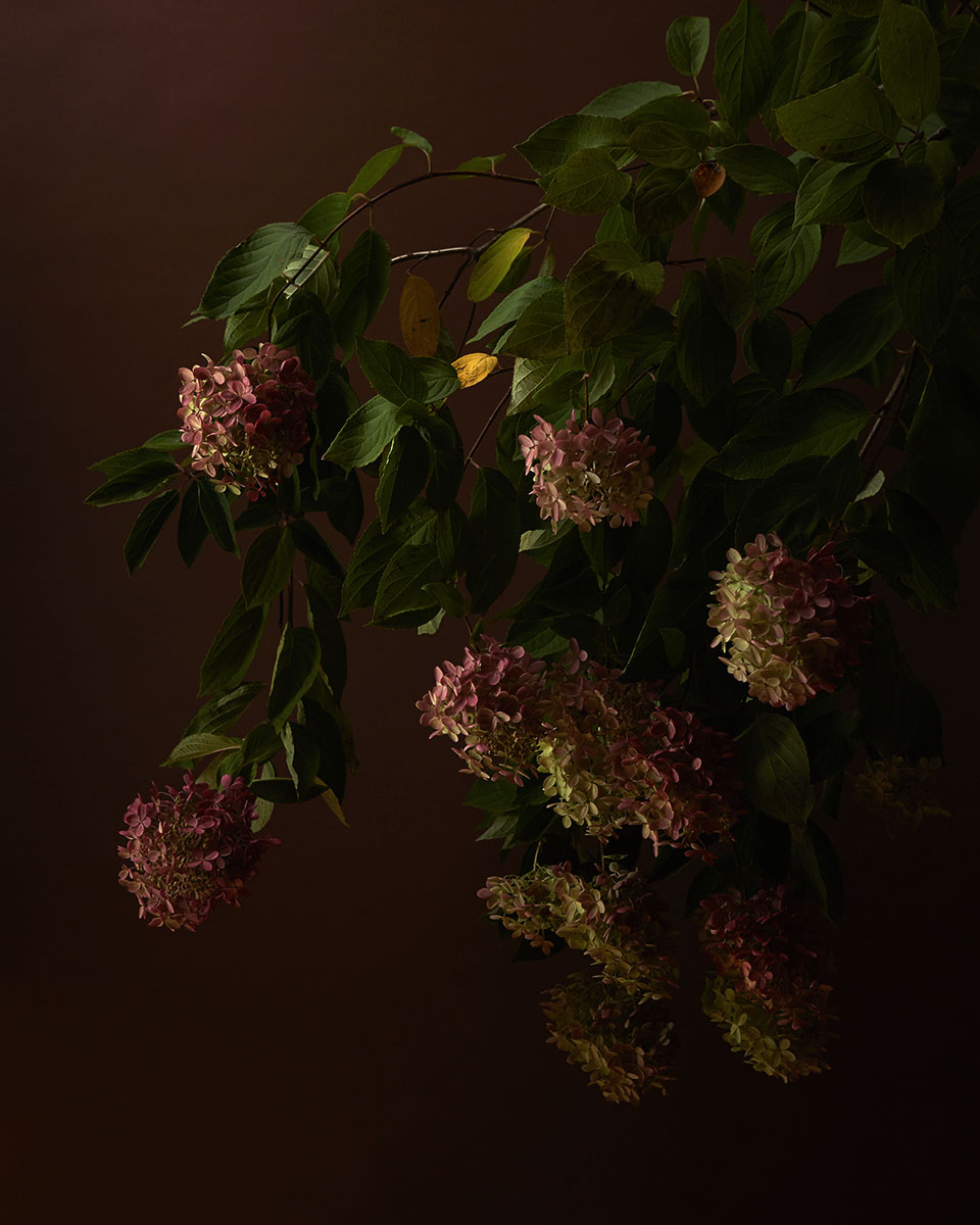 100420_Flowers_1615a